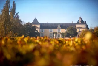 Château Suduiraut in Bordeaux, viewed from the vineyards in autumn, featuring pointed towers and light stone façade against a clear blue sky.