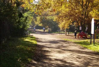 Shaded tree-lined path in the Bois du Burck in Bordeaux with golden autumn foliage, a few visitors, and a red bench visible on the right.