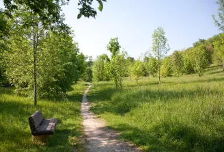 Winding dirt path through a lush forest with young trees and a wooden bench in the foreground, at Bois de Loc Boué in Bordeaux