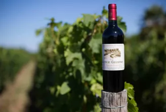 Bottle of Château Champion 2012 red wine, Saint-Émilion Grand Cru, placed on a vineyard post with vineyards in the background near Bordeaux.