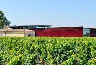 The Red Terrace in Bordeaux, a modern building with red and glass facades, extended from an old stone structure, surrounded by vineyards.