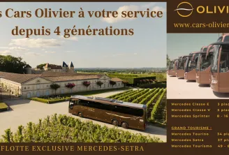 Cars Olivier coach company with 4 generations of service, featuring a Mercedes-Setra bus in Bordeaux vineyards and a fleet of luxury Mercedes vehicles