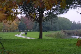Park pathway in the Bois de Bordeaux with winding trail, large tree in foreground, green lawn, autumn trees and small stream in background