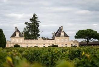 Château de Cérons, a classical mansion with mansard roofs, surrounded by lush vineyards in the Bordeaux region, with trees and a cloudy sky in the background.