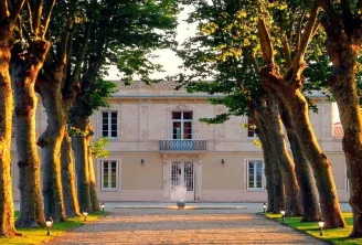 Tree-lined avenue of century-old plane trees leading to Château Haut Breton Larigaudière in Bordeaux, a classical stone building with wrought iron balcony, bathed in golden sunset light.