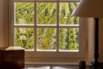 View from a mullioned window of a desk overlooking organized vineyard rows in Bordeaux, with a red armchair in the foreground and golden vines under sunlight.