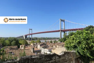 Panoramic view of the Aquitaine Bridge spanning the Garonne River with Bordeaux cityscape in the background, surrounded by traditional rooftops and greenery