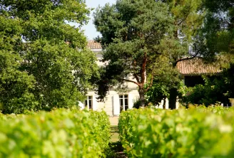 View of Château Baudan in Bordeaux through vineyard rows, with fruit trees and terracotta-roofed buildings visible in the background