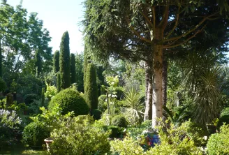 View of Jardin du Clozet in Bordeaux featuring tall cypress trees, a weeping tree with drooping branches, trimmed shrubs, palm trees, and lush vegetation under clear sky.