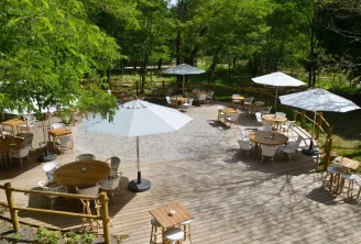 Shaded outdoor terrace at Château Léognan featuring wooden tables, white chairs and white umbrellas, surrounded by lush green trees.