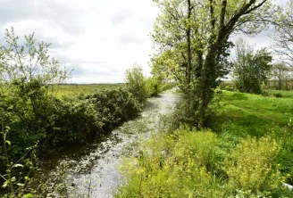 Panoramic view of a winding waterway flowing through the Montferrand marshes near Bordeaux, lined with lush vegetation and leafy trees under a cloudy sky.