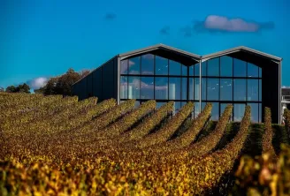 Modern black-windowed building overlooking golden vineyard rows in autumn at Château Lauduc, a Bordeaux winery