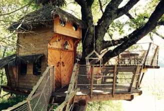 Wooden treehouse with orange door, safety net walkway and stairs built in a large tree