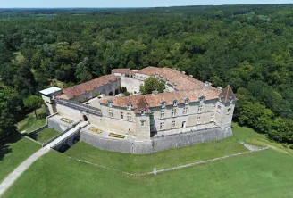 Aerial view of Château Royal de Cazeneuve, a medieval fortress surrounded by moats and ramparts with red tile roofs, nestled in lush green forest landscape near Bordeaux.