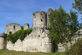 Ruins of Blanquefort Fortress near Bordeaux, featuring medieval stone towers partially overgrown with vegetation.