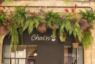 Chai 8
