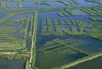 Aerial view of the Certes-Graveyron estates near Bordeaux featuring rectangular fish farming ponds surrounded by embankments and vegetation, with freshwater parcels and drainage channels
