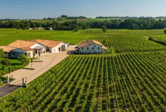 Aerial view of Château Petit Val near Bordeaux, featuring terracotta-roofed buildings surrounded by organized vineyard rows in the Bordeaux wine region.