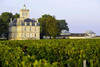 Château Larose-Trintaudon in Bordeaux, a pale yellow stone mansion with an octagonal tower and mansard roof, surrounded by green vineyards and outbuildings.