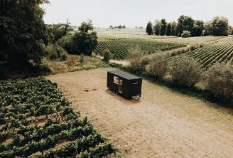 Black tiny house isolated in Saint-Émilion vineyards, surrounded by rows of grapevines and vegetation, with agricultural fields in the background.