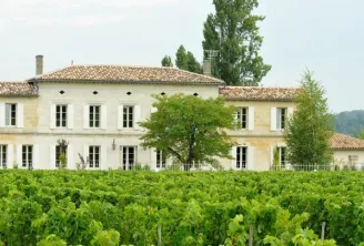 Grand Corbin-Despagne Castle in Bordeaux, a classical white stone mansion surrounded by vineyard rows, featuring symmetrical windows and clay tile roof.