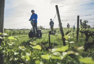 Group of people riding Segways through Bordeaux vineyards, navigating between rows of vines with support posts visible.