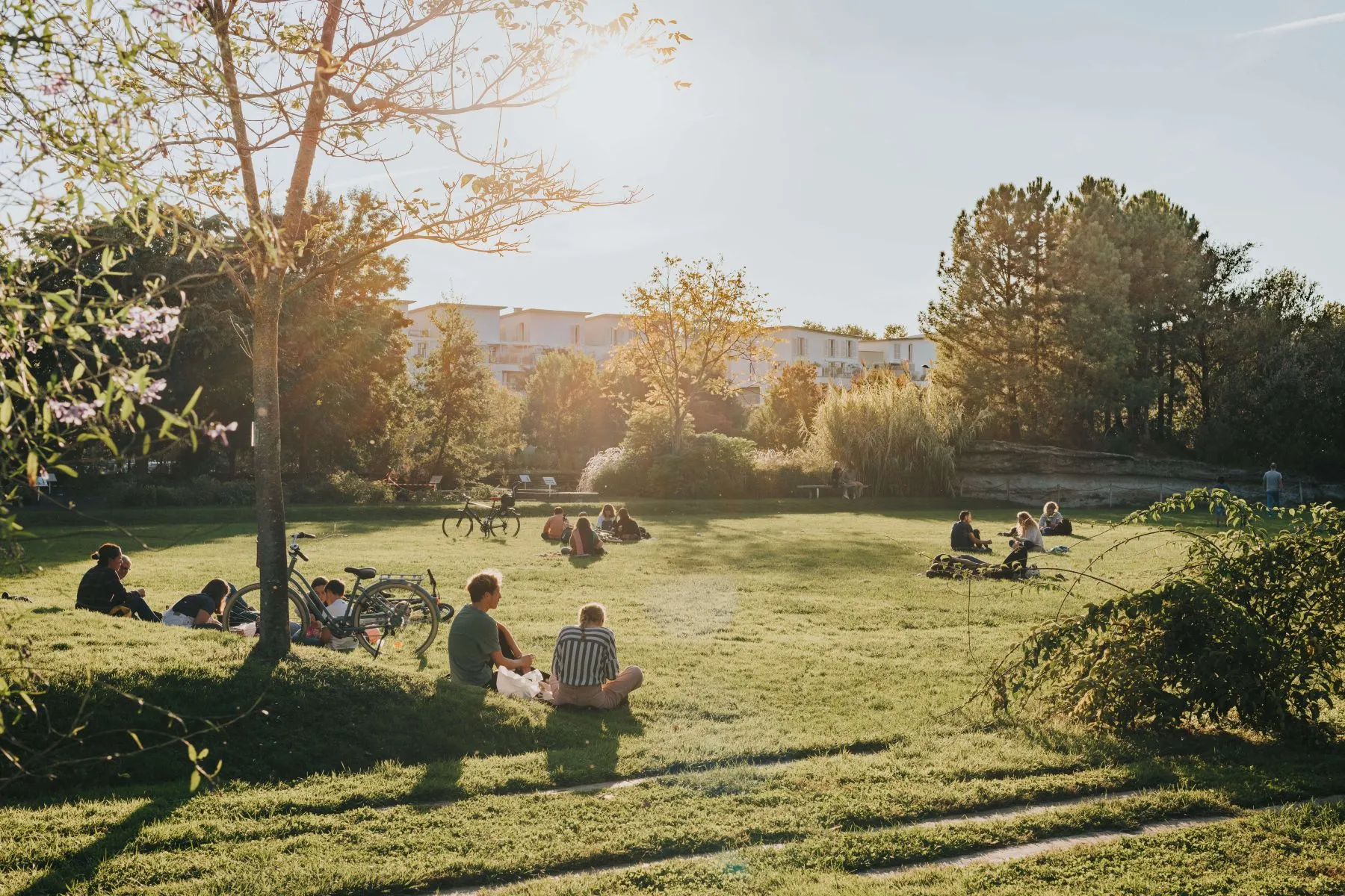 Le jardin botanique