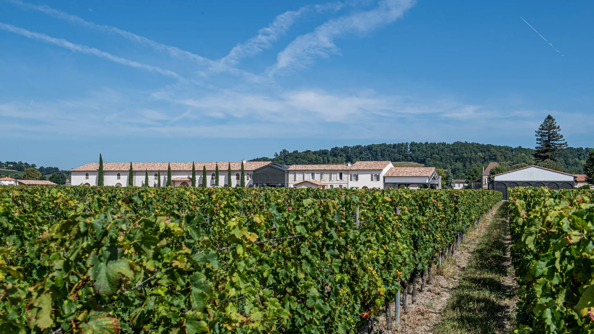 château fleur de lisse