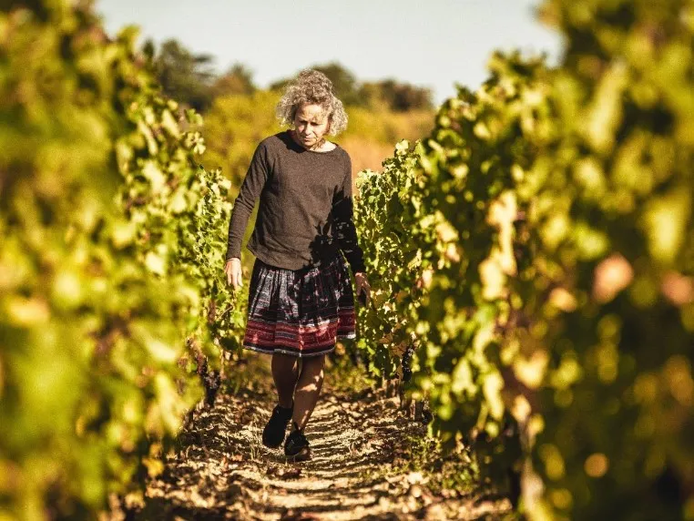 château haut bages liberal visite