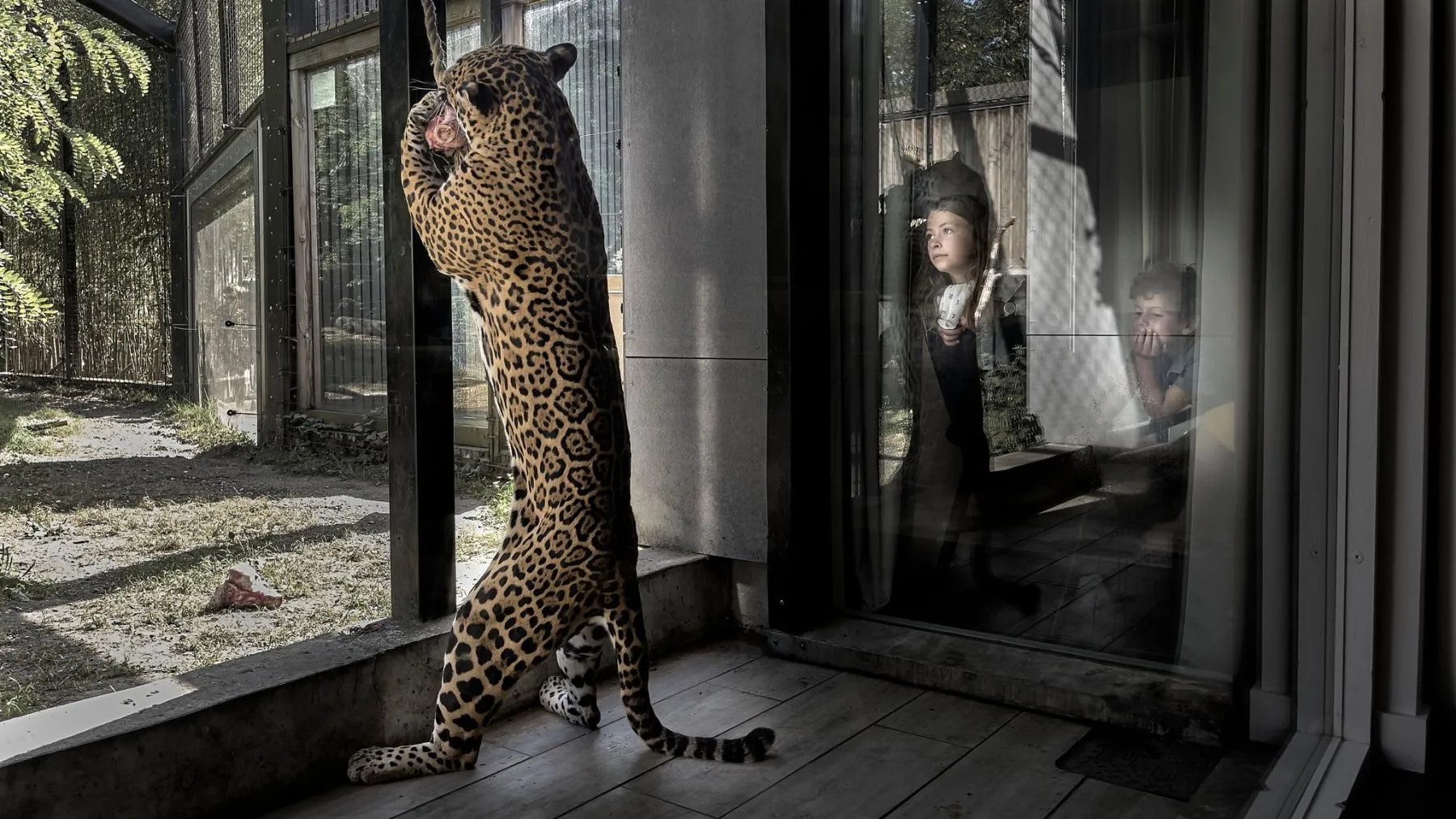 Sleep at Pessac Zoo
