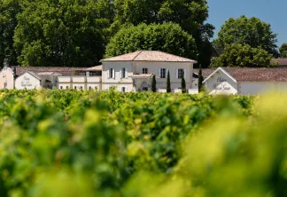 Château Rauzan-Gassies - vignoble durable Bordeaux