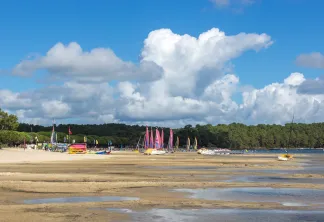 Médoc, Lacanau (carcan)