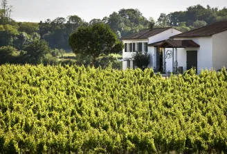 View of Château George 7 near Bordeaux, a white building with brown roof nestled among lush green vineyards and forests.