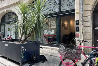 Storefront of SP Pour toi gallery in Bordeaux featuring a black dog resting by a plant planter, pink bicycles parked outside, and ornate wrought iron door panels