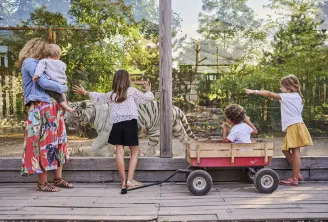 Children playing near a tiger enclosure at Bordeaux-Pessac Zoo, with one child holding a toddler while others watch the animals through the fence.