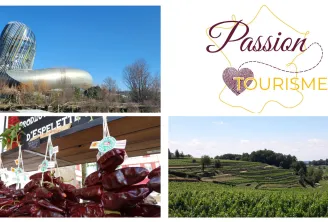 Collage showcasing Bordeaux tourist attractions: the modern glass architecture of Cité du Vin, local market products, vineyards of the Bordeaux wine region, and the Passion Tourisme logo.