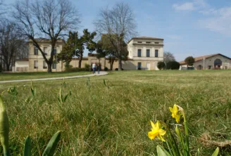Parc Favols in Bordeaux featuring yellow flowers in the foreground, a historic building in the background, and bare trees