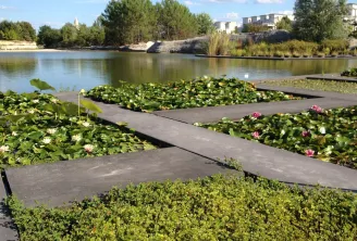 Water basin at Bordeaux Bastide Botanical Garden featuring white and pink water lilies in cultivation beds, with the Garonne river visible beyond