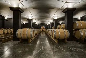 Underground cellar of Château Tour Saint Christophe in Bordeaux featuring symmetrical rows of oak barrels lining both sides of a central aisle, beneath a modern vaulted ceiling with black pillars.