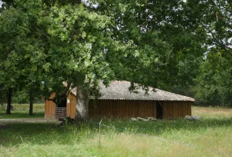 The Bergerie des Matruques in Bordeaux, a wooden building with tiled roof surrounded by ancient oak trees and wild grass