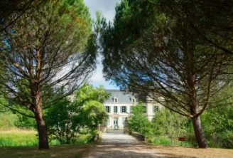 Tree-lined driveway leading to Château Citran in Bordeaux, with its white façade visible in the distance