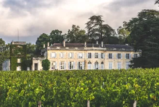 View of Château du Taillan near Bordeaux, classical stone façade overlooking vineyards in the foreground, surrounded by lush greenery and century-old trees.