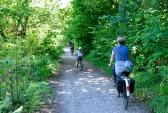Cyclists riding on a shaded forest trail near Bordeaux, in the Bois du Déhès and Moulin du Moulinat area, surrounded by lush vegetation.