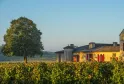 Château Sigalas Rabaud in Bordeaux with yellow walls and red shutters, surrounded by vineyards at sunset, with a large tree nearby