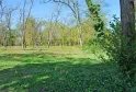 Wooded clearing in Bois d'Arboudeau, Bordeaux, featuring tall spaced trees, green grass, purple flowers in the foreground, and a wooden structure in the distance on a sunny day