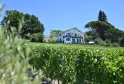 White house with terraces surrounded by lush vineyards and Mediterranean trees under clear blue sky in the Bordeaux region