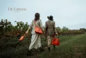 Two stylish women walk through Bordeaux vineyards, carrying red accessories and a wine bottle, embodying the luxury and wine heritage of the region.