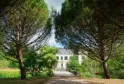 Tree-lined driveway leading to Château Citran in Bordeaux, with its white façade visible in the distance