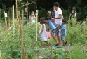 A group of children in a vegetable garden at Parc Rivière in Bordeaux, where a young adult demonstrates watering plants with a blue watering can.