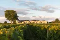 Bordeaux vineyard with yellow-walled winery building, large tree, and cloudy sky at sunset
